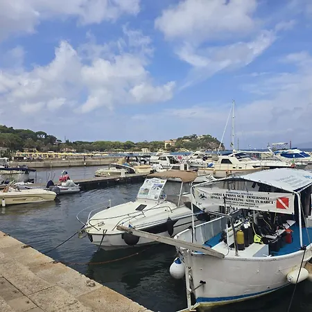 Soliluna - Goelba * Cavo